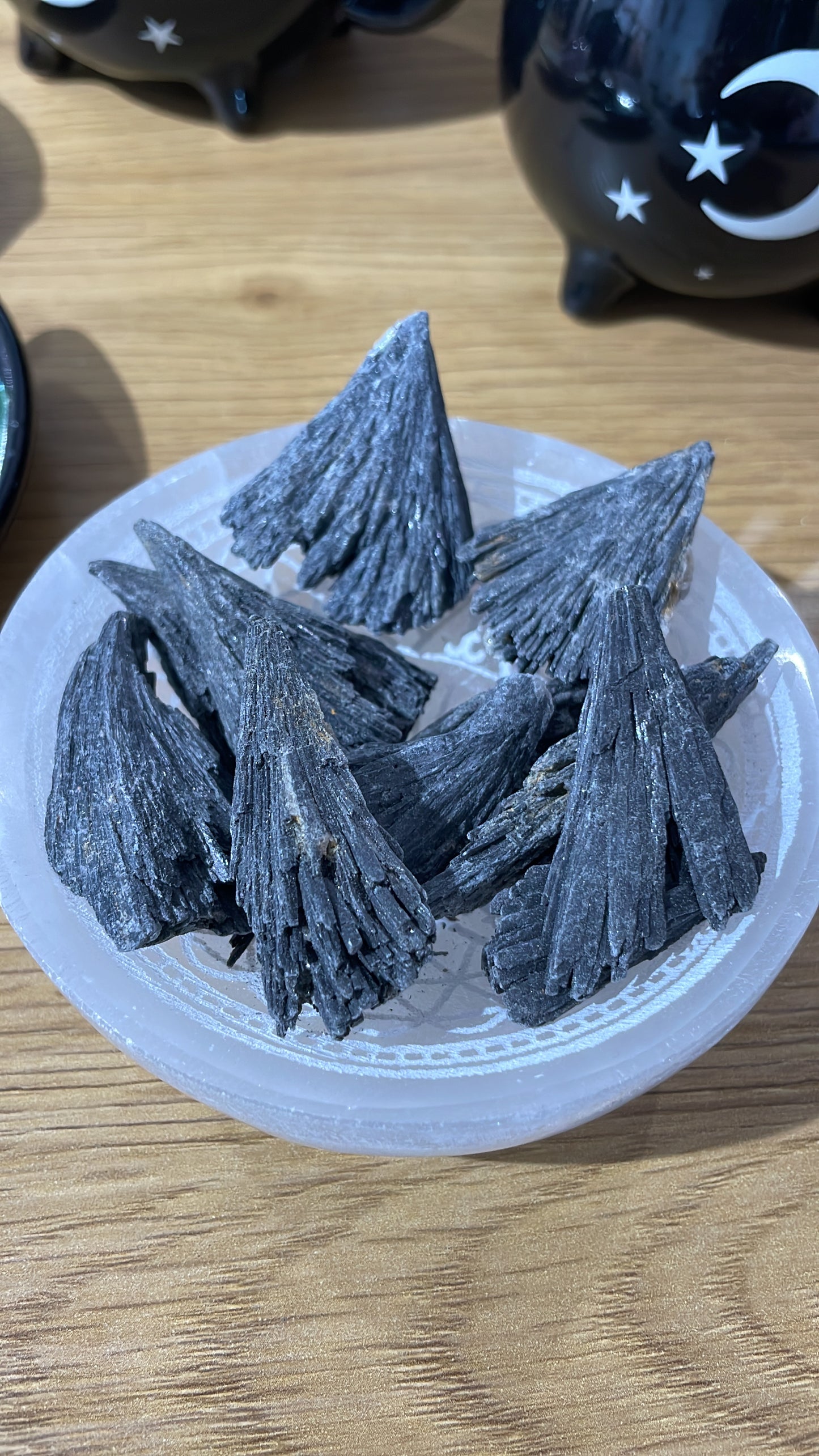 Escoba de Bruja